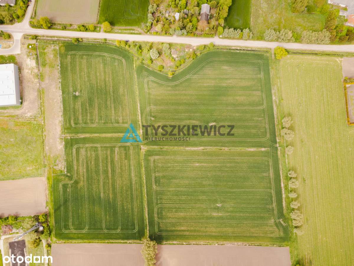 Blisko Nowego Dworu Gdańskiego i S7, ok. 6,4 ha - Pełny obrazek: 4/20