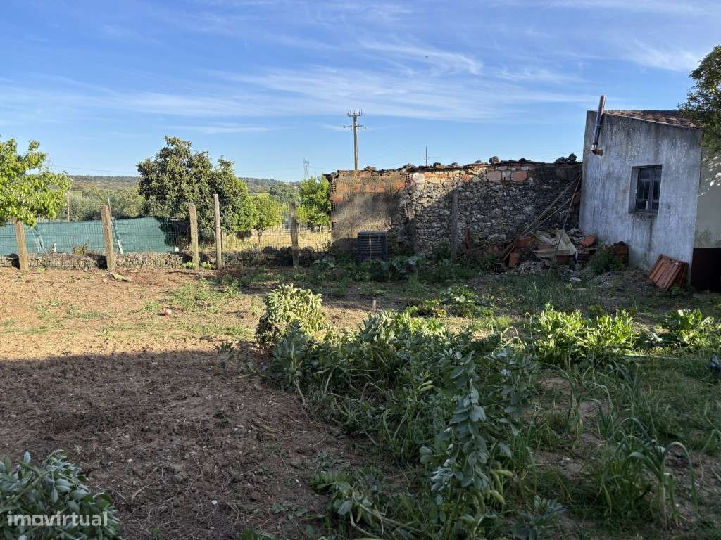 Vendese Quinta com Casa T4, Adega, Lagar e Terreno com Árvores de F...-31