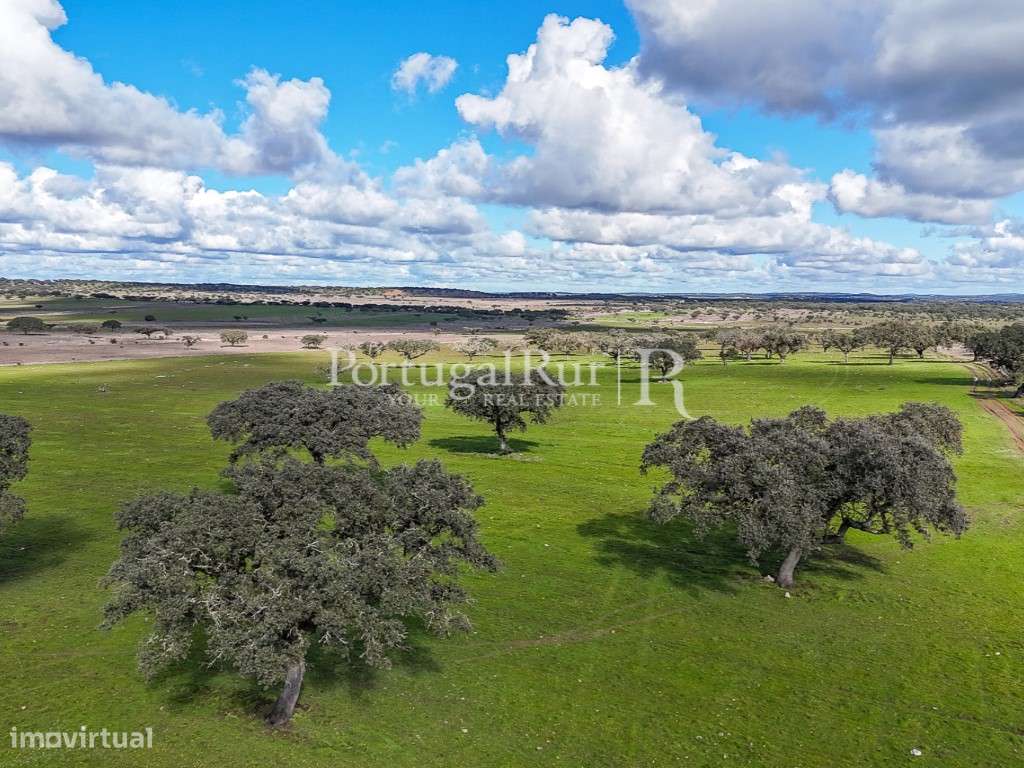 Herdade com 53ha perto do Alandroal - Grande imagem: 2/37