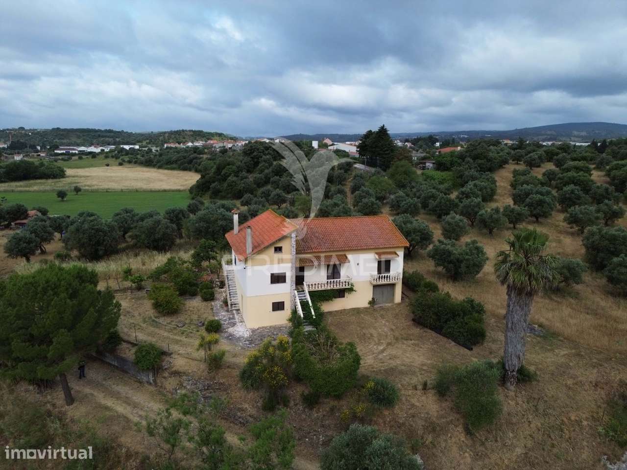 Quinta de Sonho com 11 Hectares em Alcanena – Um Paraíso Natural a... - Grande imagem: 4/39