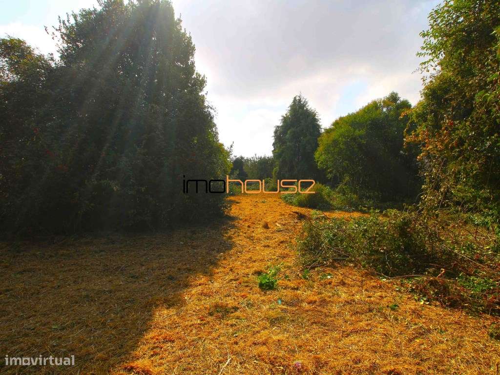 Casa senhorial do século XIX ( Zona Espaço Central II)-49