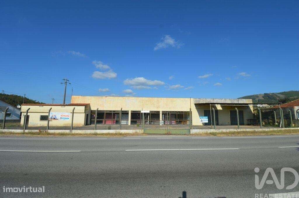 Loja / Estabelecimento Comercial em São Miguel, Santa Eufémia e Rabaça - Grande imagem: 2/20