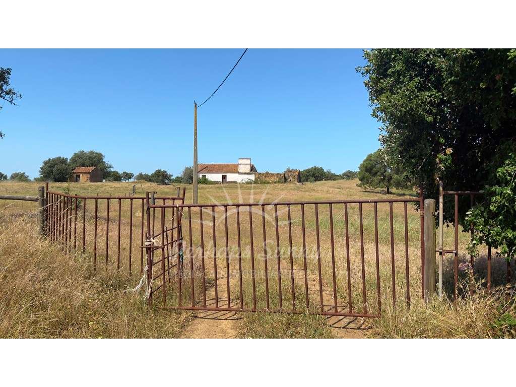 Terreno Misto para construção de Habitação ou Turismo - Melides-0