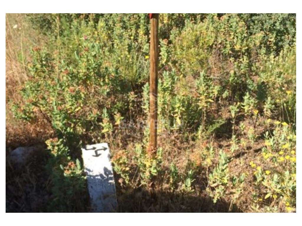 Lote de terreno rústico, Salir, Algarve - Grande imagem: 5/11