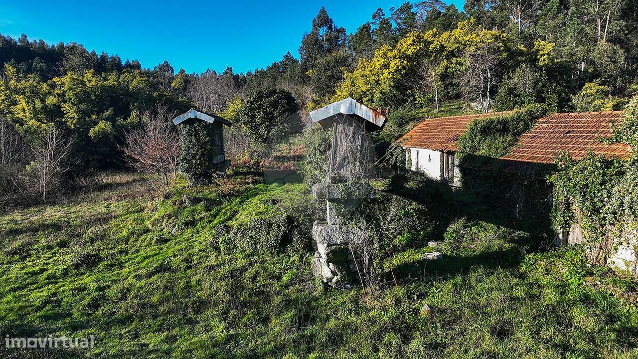 Quinta  para venda-12