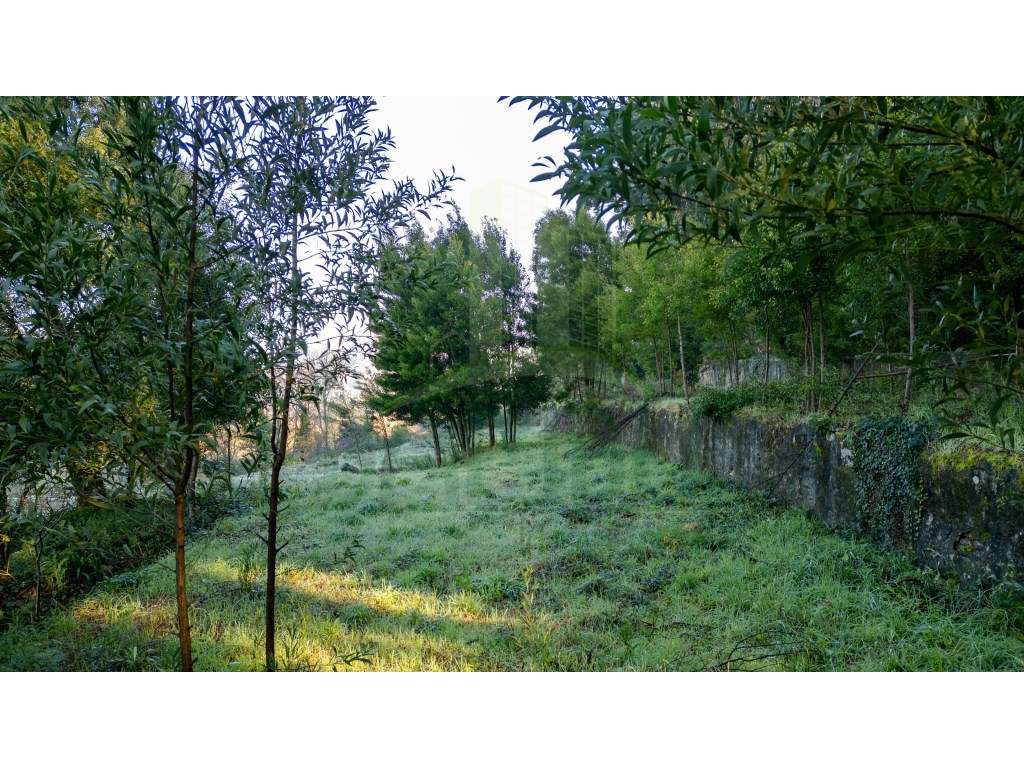 Terreno para construção em Vilar de Mouros - Grande imagem: 4/10