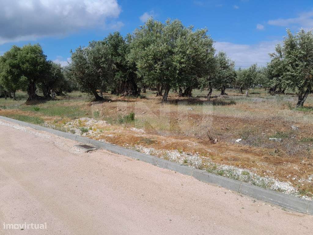 Terreno urbanizável Alandroal-9