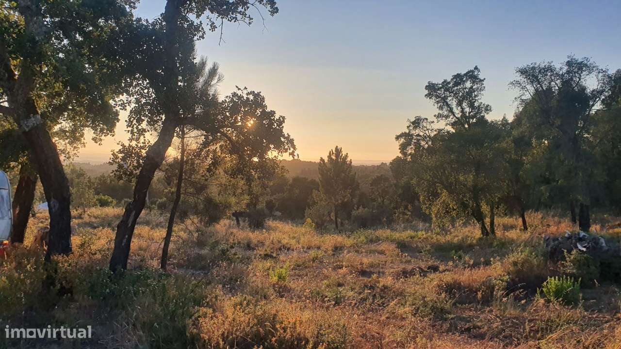 Terreno para Moradia com vista para a Serra D'Aire e Candeeiros - Grande imagem: 3/29