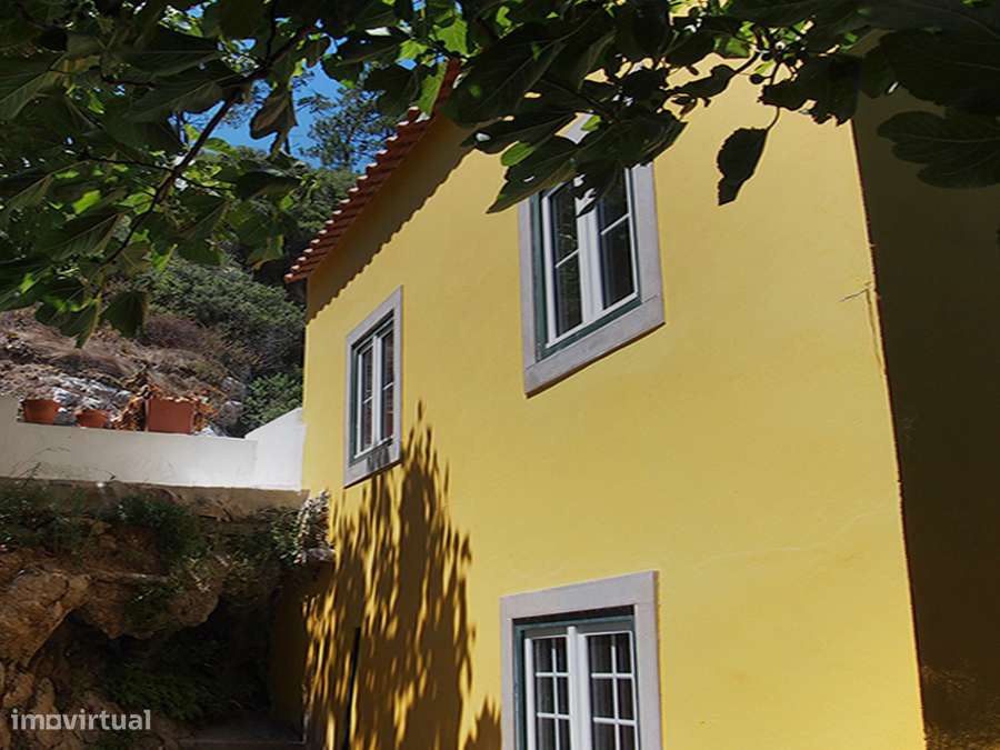 Pequena moradia T2, encantadora, autêntica, entre Óbidos e Bombarral - Grande imagem: 4/36