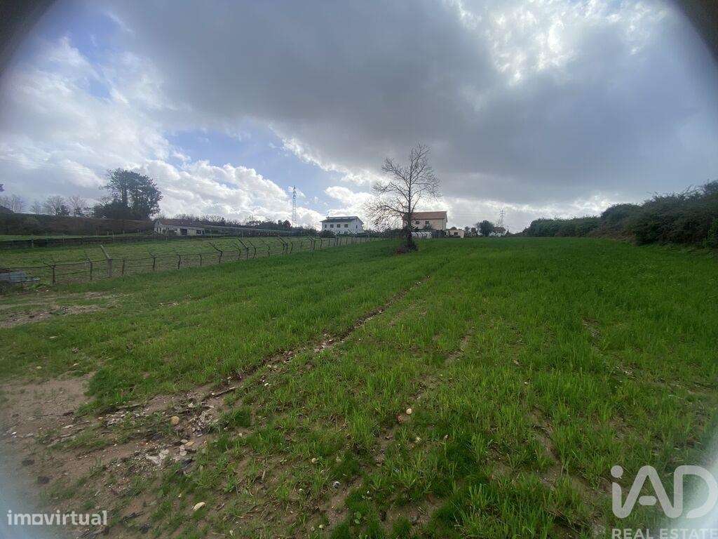 Terreno em Monção e Troviscoso-1