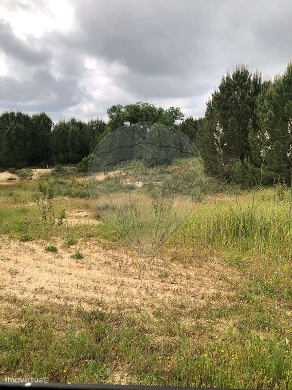 Terreno  para venda - Grande imagem: 5/5