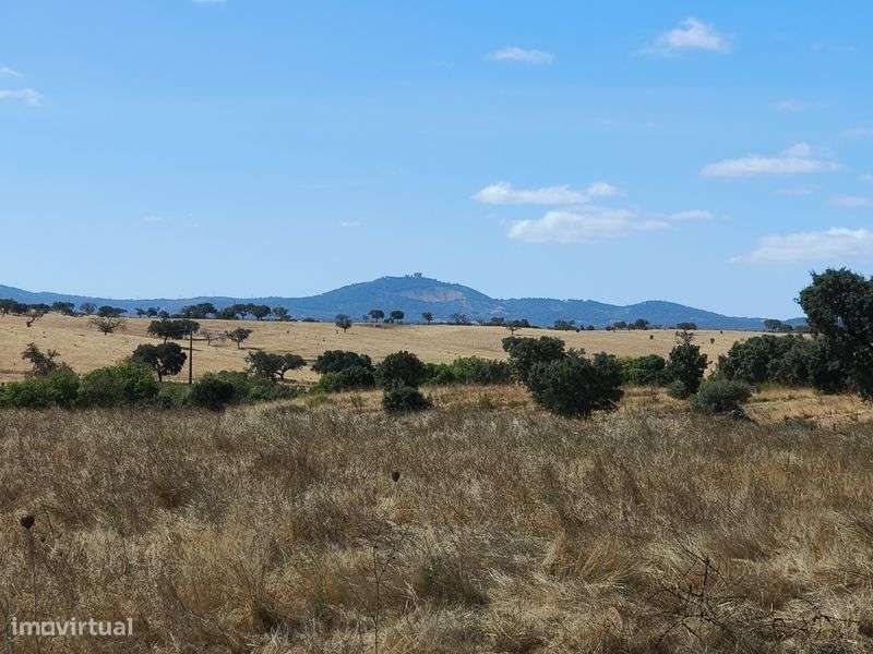 Propriedade junto a Estremoz - Grande imagem: 5/5