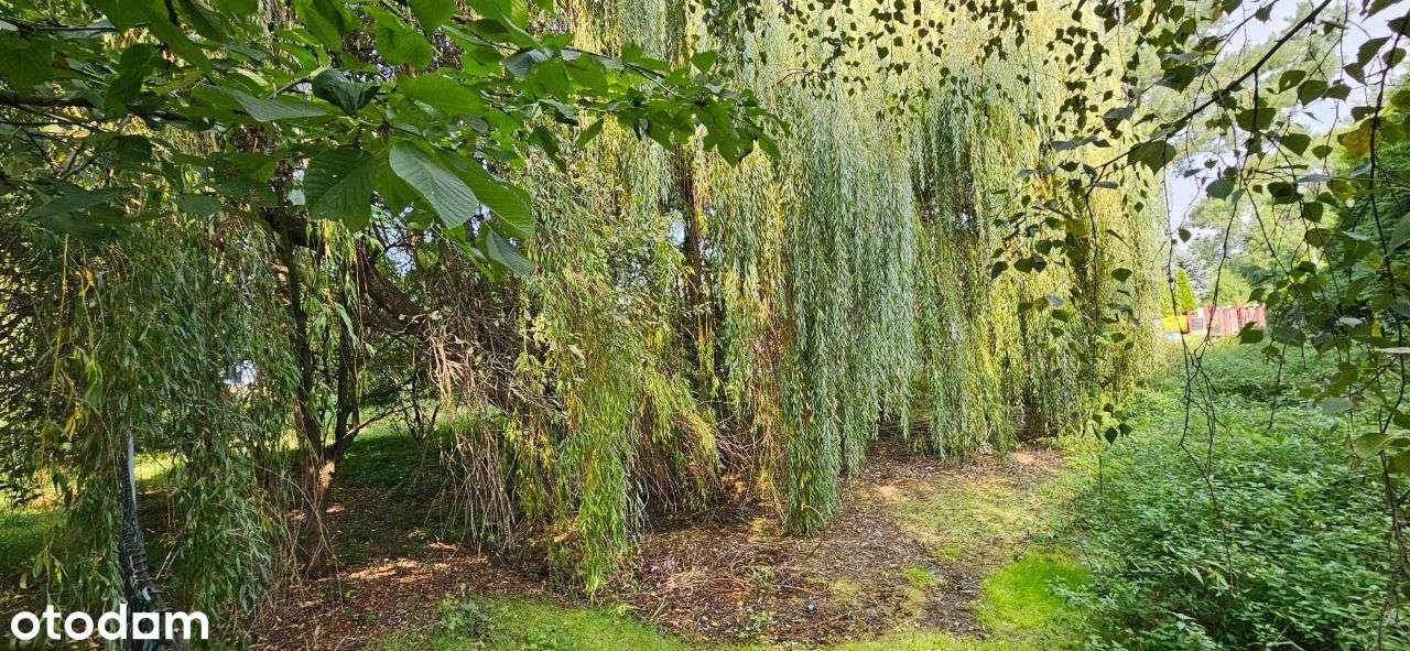 Dom stodoła 65 arów działki bud. gm. Kobierzyce - Pełny obrazek: 2/12