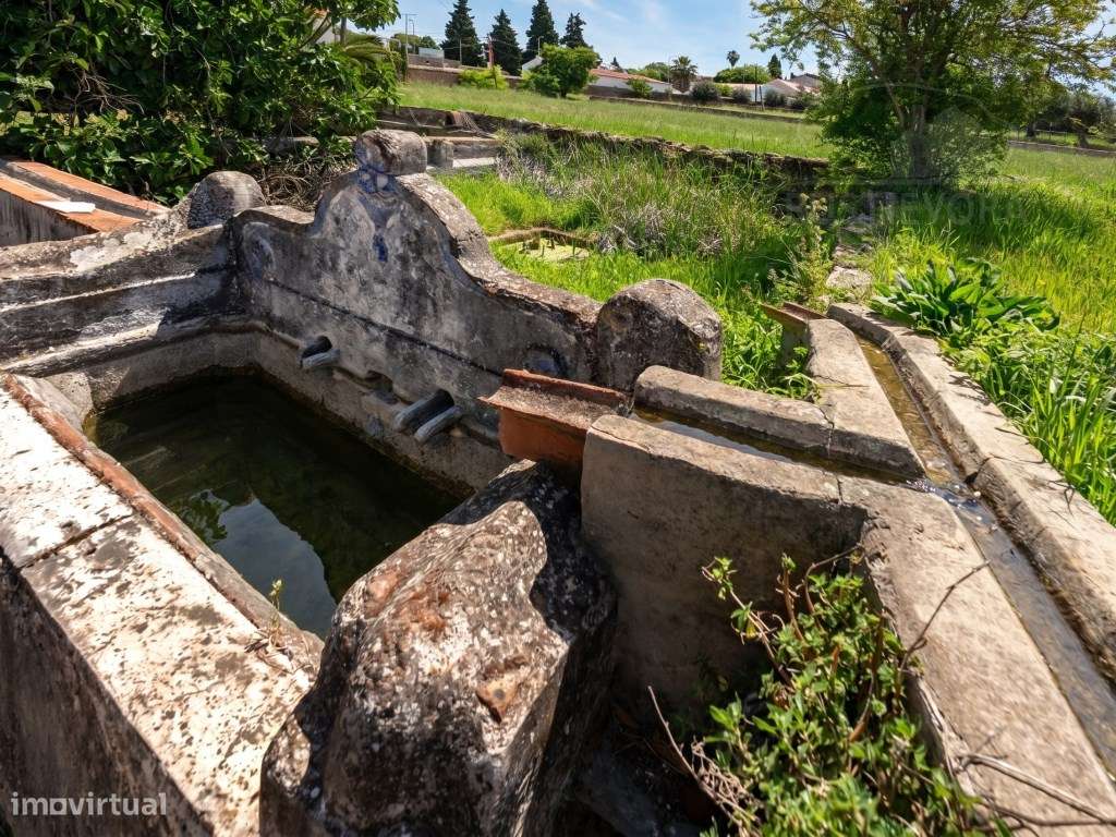 Quinta de São Miguel | Um Projeto Único junto ao Castelo de Estremo...-13