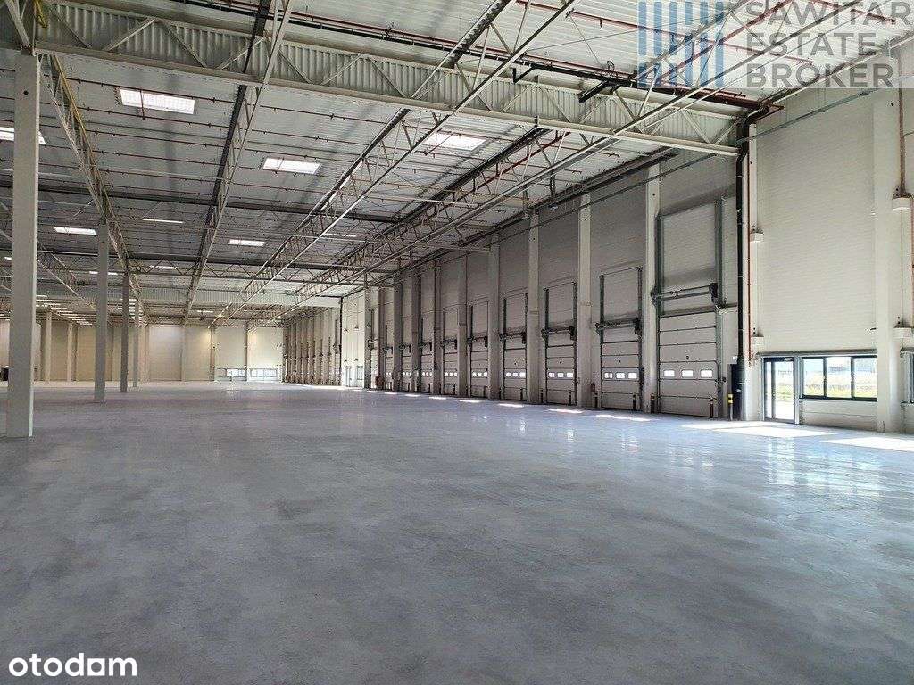 Hala magazynowa klasy A przy S19 - Pełny obrazek: 2/2