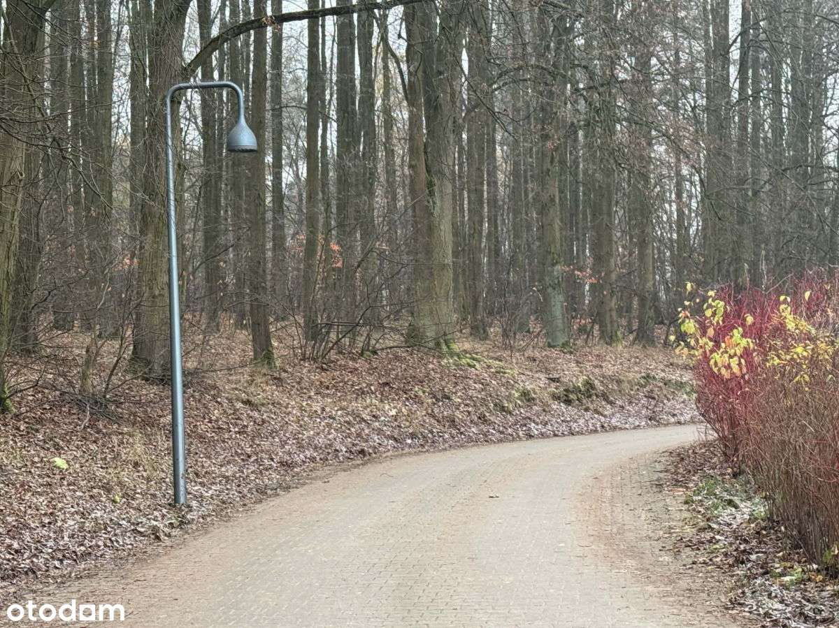 PoznaŃ, Strzeszyn, rezydencyjna, przy lesie-6