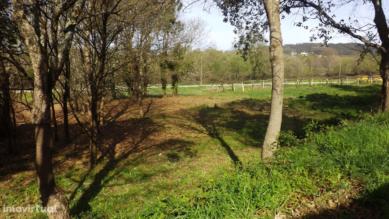 Terreno Rústico  Venda em Argela,Caminha