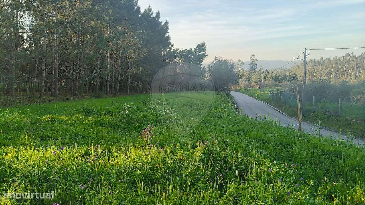 Terreno  para venda - Grande imagem: 5/7