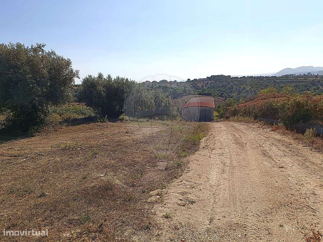 Armazém  para venda - Grande imagem: 3/5