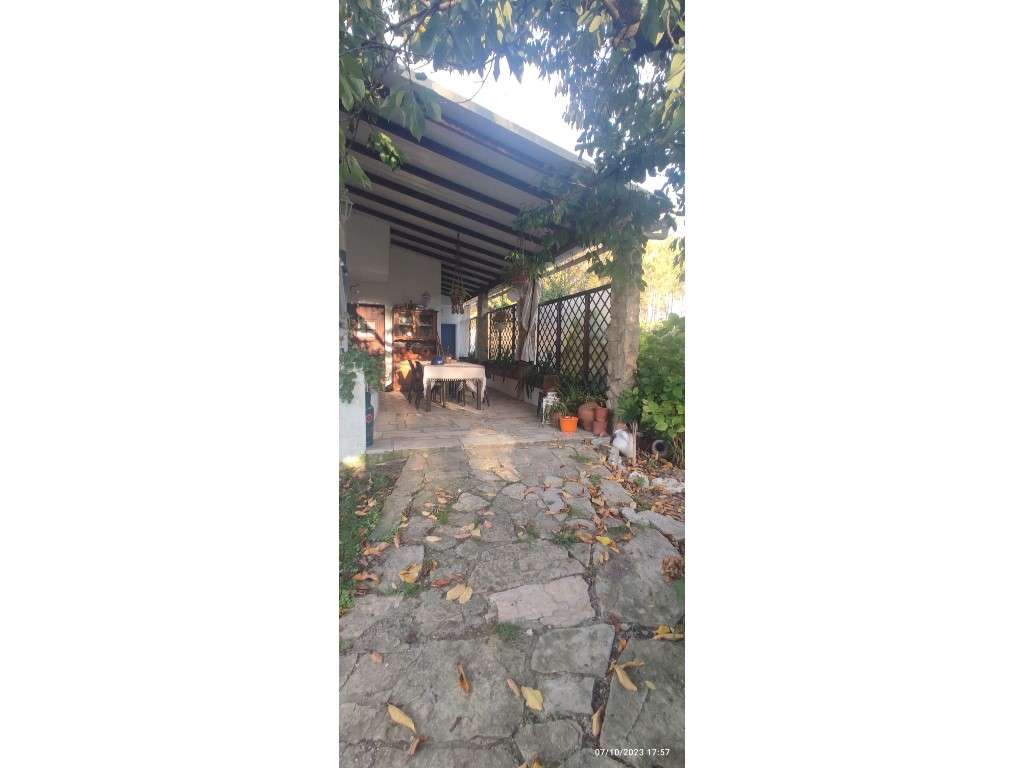 Quinta com duas moradias, anexos, diversas arvores de fruto, vinha ...-58