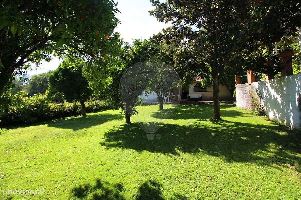 Palacete T10 para venda - Grande imagem: 4/46