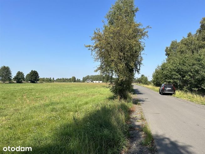 Piękna działka z dostępem do jeziora, z mediami-16