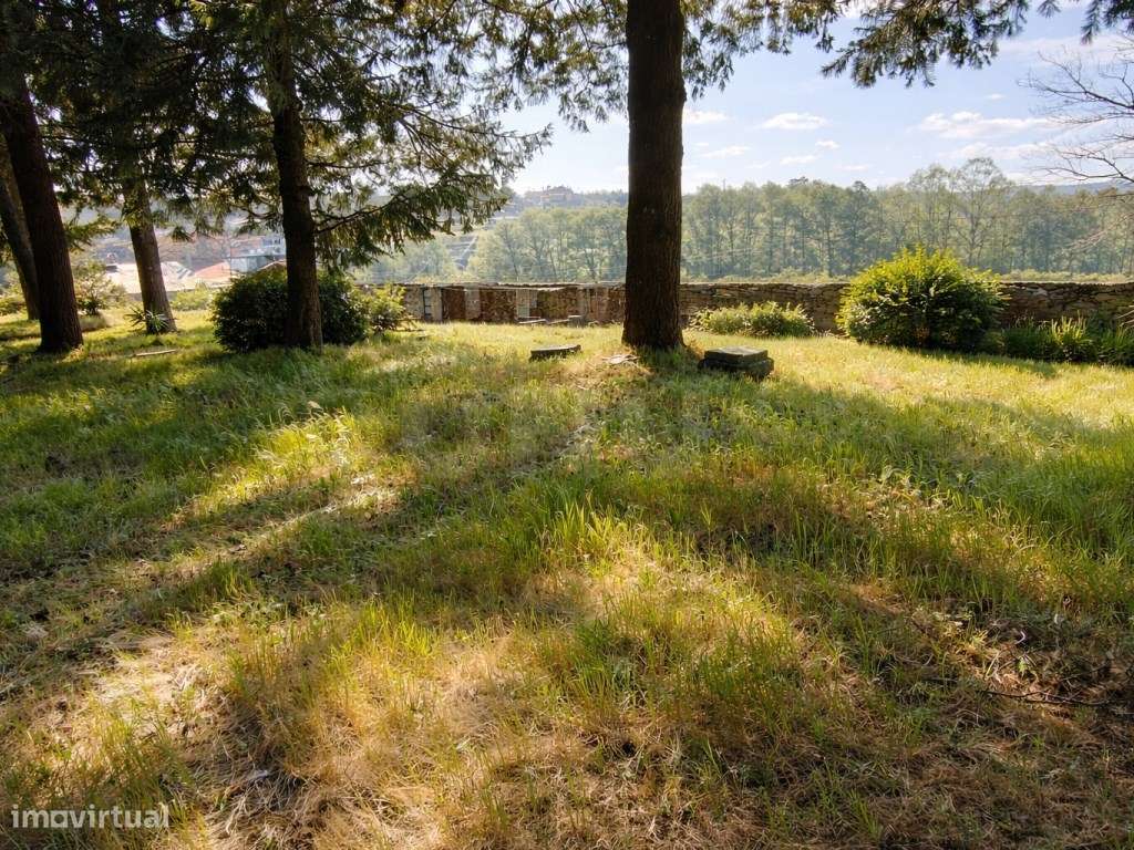 ATIVO TURÍSTICO + QUINTA DE EXCEÇÃO NA BEIRA ALTA-20