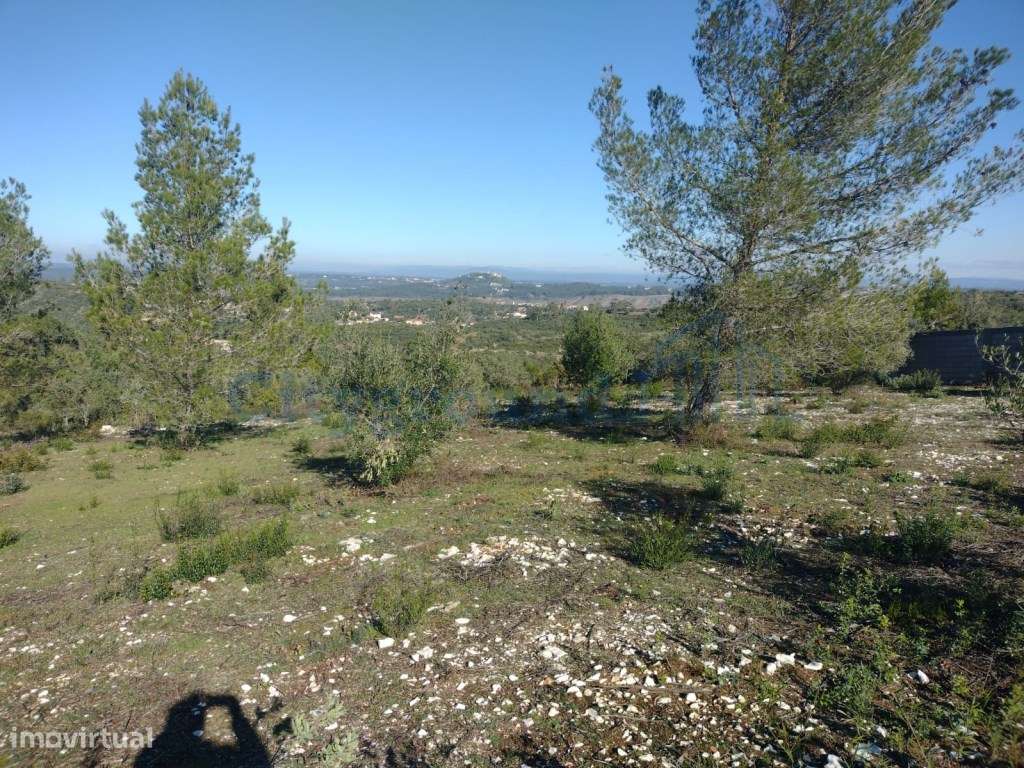 Terreno de 1505m2 urbanizável em Ortiga, Fátima com vista Castelo O... - Grande imagem: 4/19