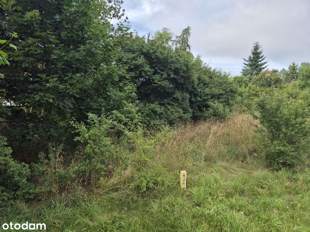 Działka, 719 m², Wejherowo-18