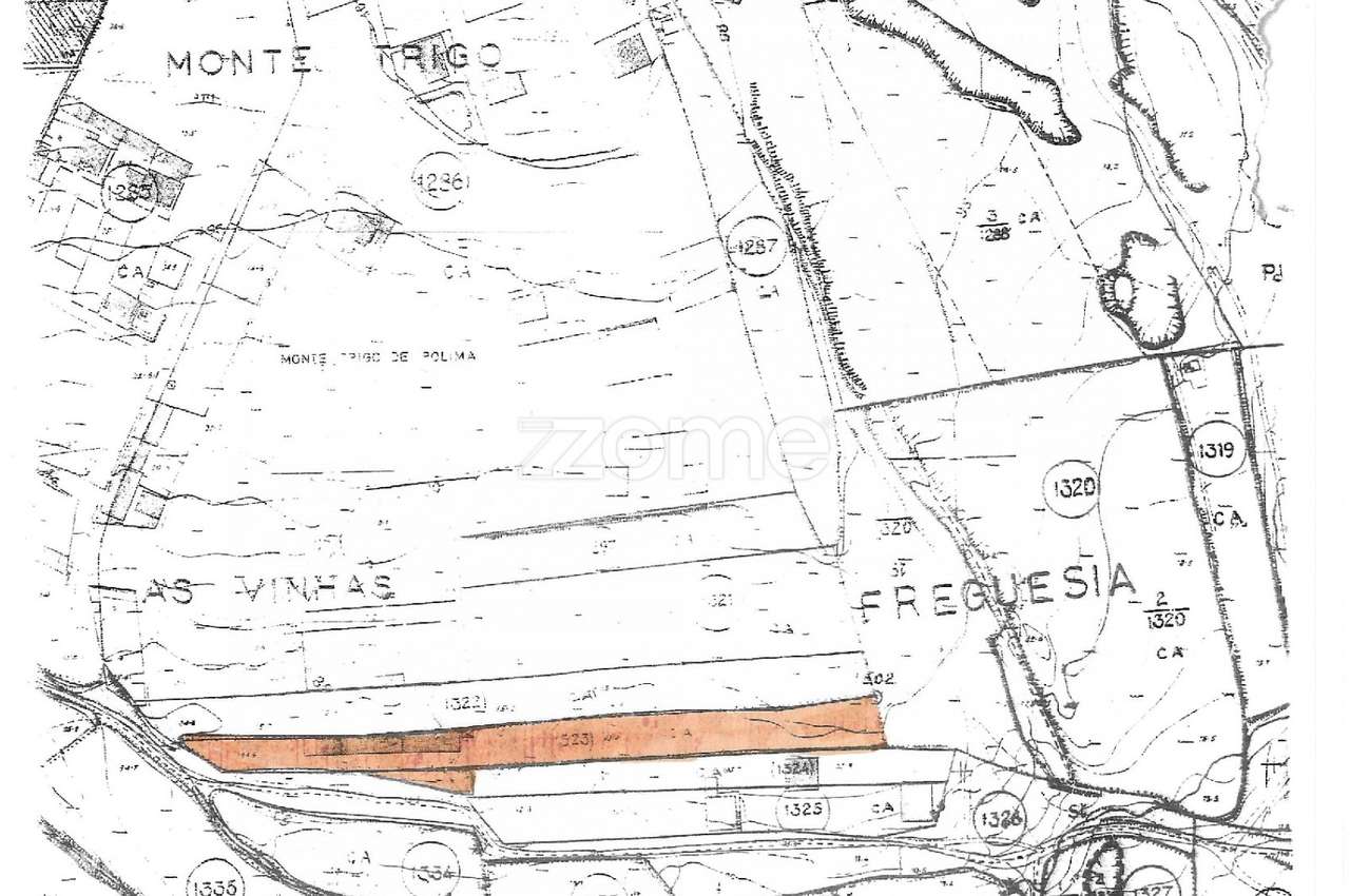 Terreno/Quinta com 3.000m², junto à Vila Romana de Freiria - Grande imagem: 3/32