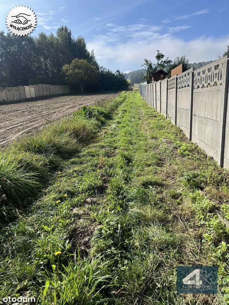 Działka z potencjałem - Pełny obrazek: 4/14