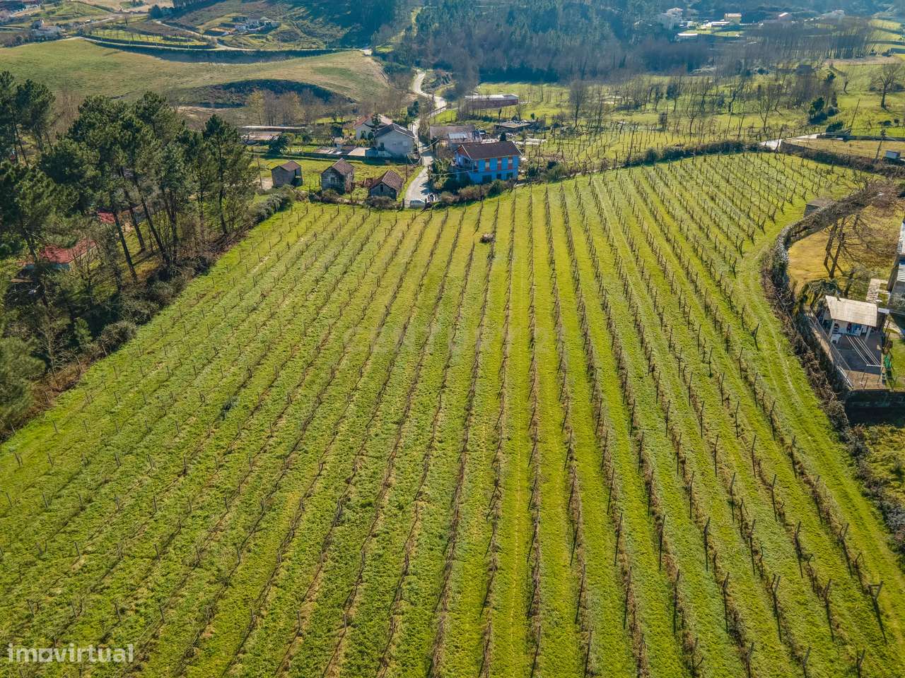 Terreno rústico com viabilidade de construção - Grande imagem: 5/19