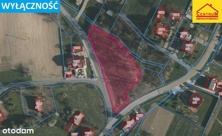 Rogów, ul. Wyzwolenia / Wystrzęsów - Pełny obrazek: 4/6