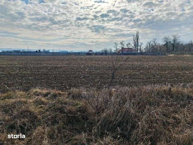 Vand teren intravilan, Bacau - Imagine principală: 4/6