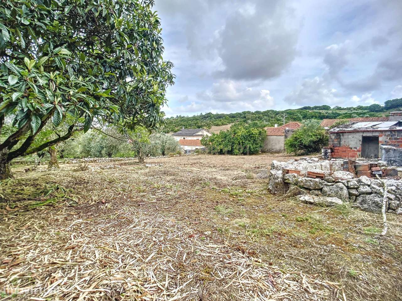 Terreno com Casinhas para Reabilitar! - Grande imagem: 2/51