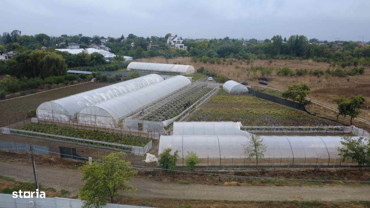 Sere Flori si Legume - Bujori - Afacere la cheie - Imagine principală: 4/5