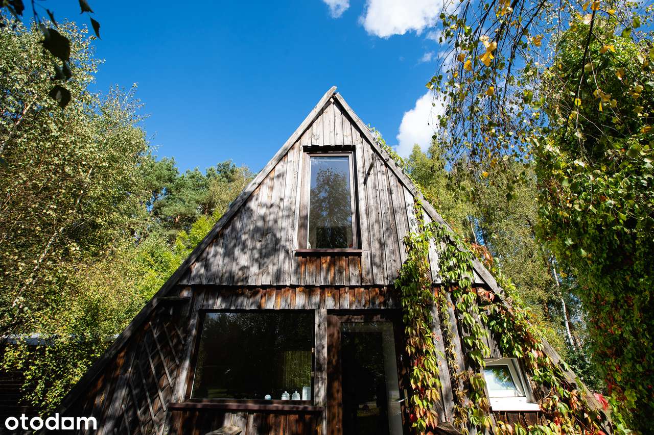 Dom i biznes w otoczeniu lasu-2