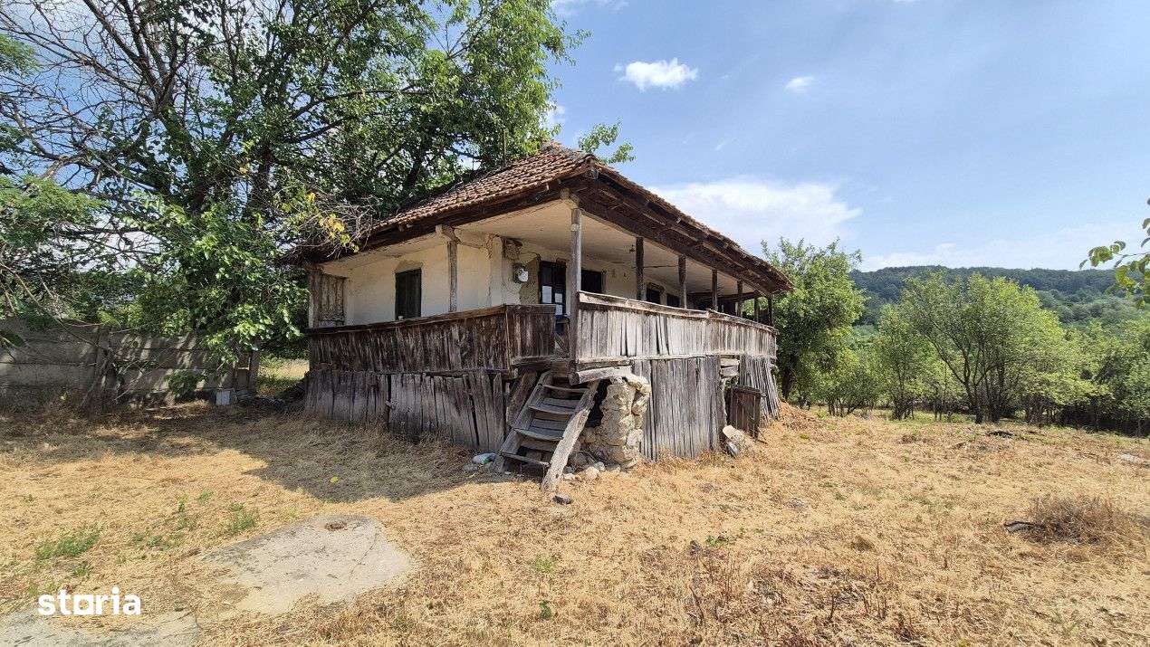 Vanzare proprietate in apropiere de complex turistic Musetesti - Imagine principală: 4/10