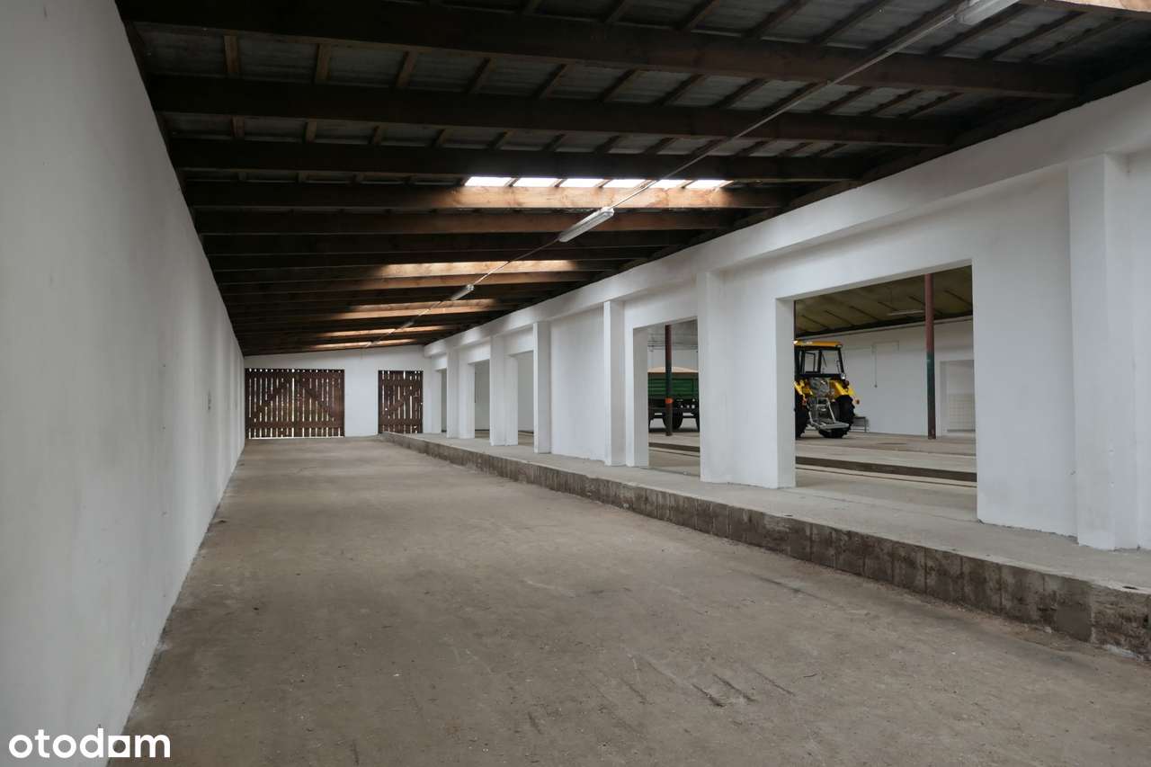 Hala do wynajęcia blisko Gniewu - Pełny obrazek: 5/9