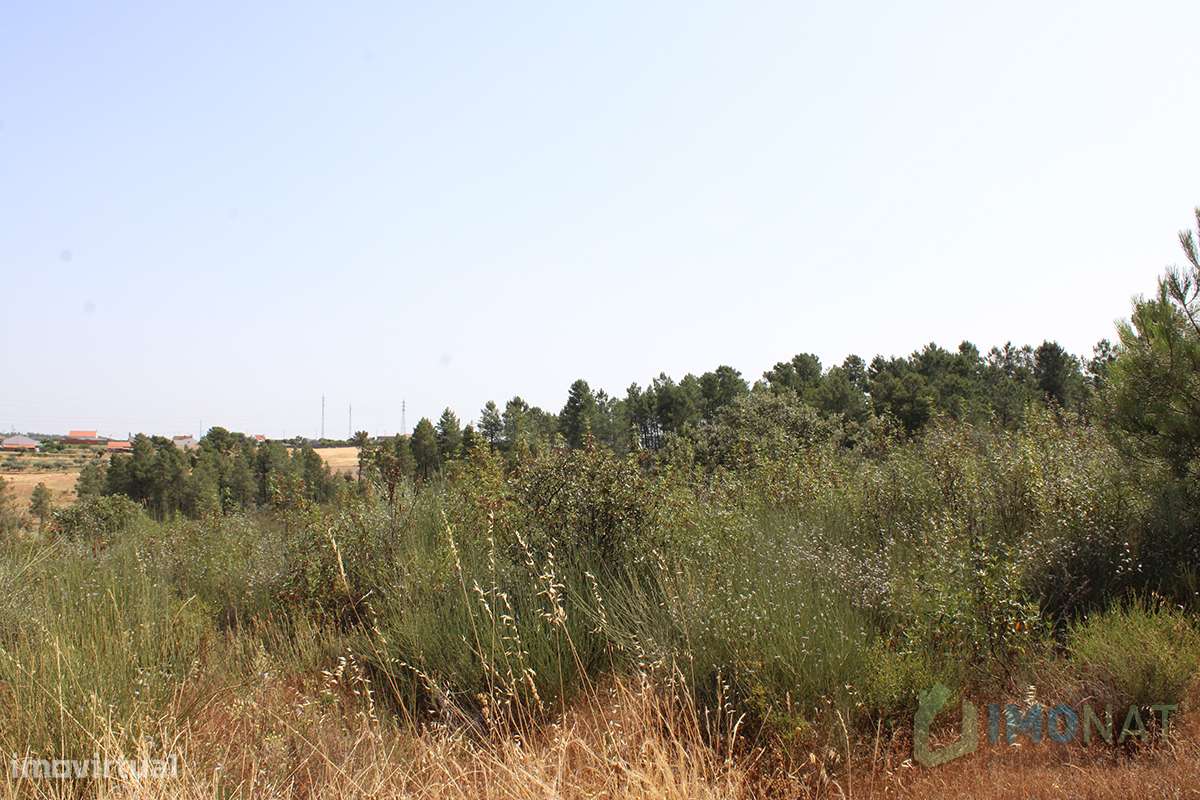 Terreno - Grande imagem: 5/26