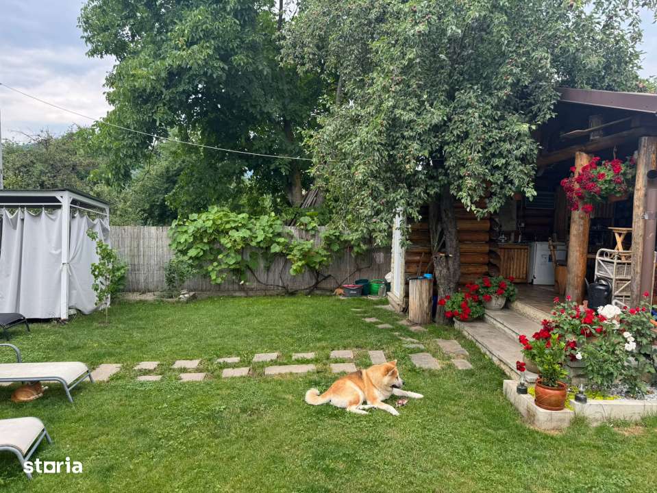 De vanzare vila familiala-tot confortul in Frasin-reducere de pret!!! - Imagine principală: 4/19