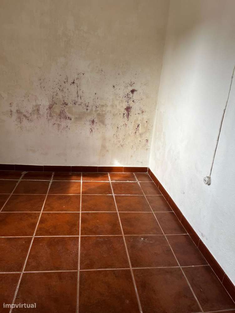 Casa Típica Rural em Coruche - Almeirim-5
