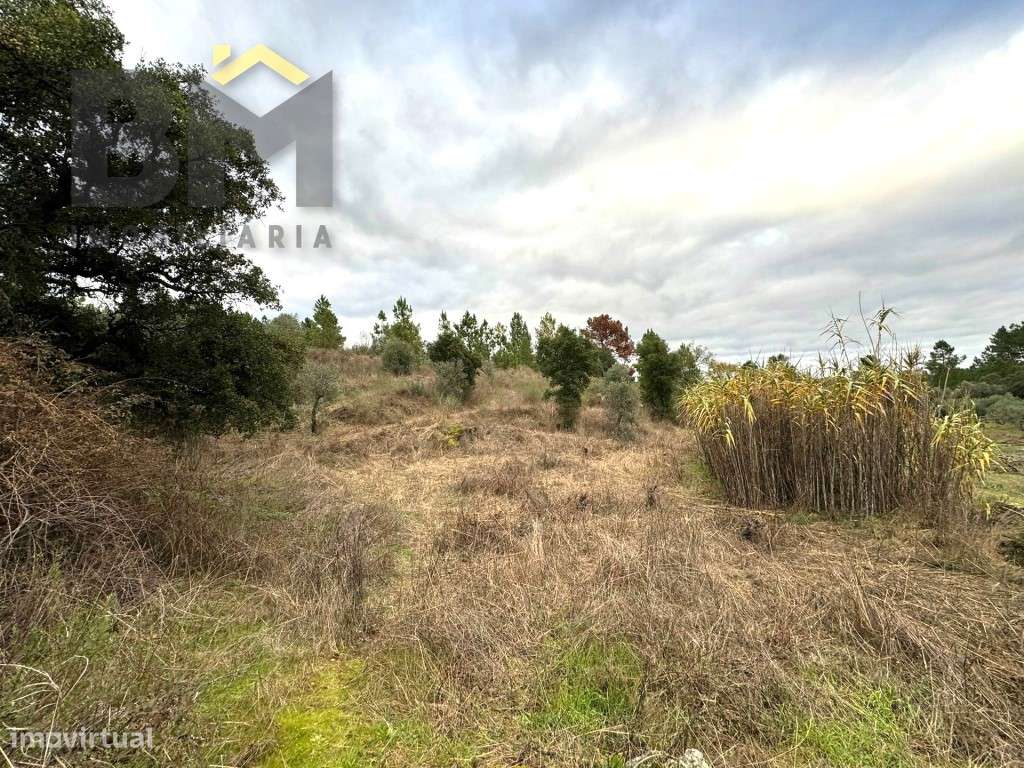 Terreno rústico com 3080m2, para venda, em Salgueiro do Campo! - Grande imagem: 3/10