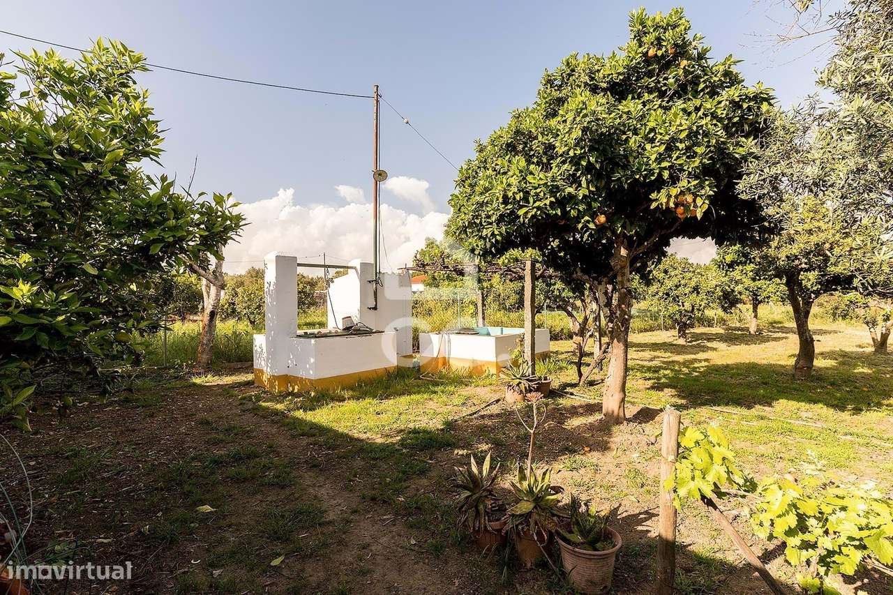 Quinta de 9250m2 c/ Moradia T4 térrea, anexo e armazém | Azaruja-51