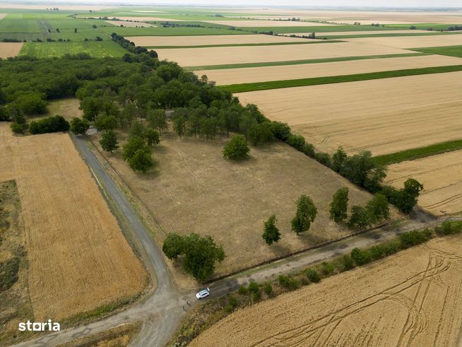 Teren aproape de băile termale Şofronea-2