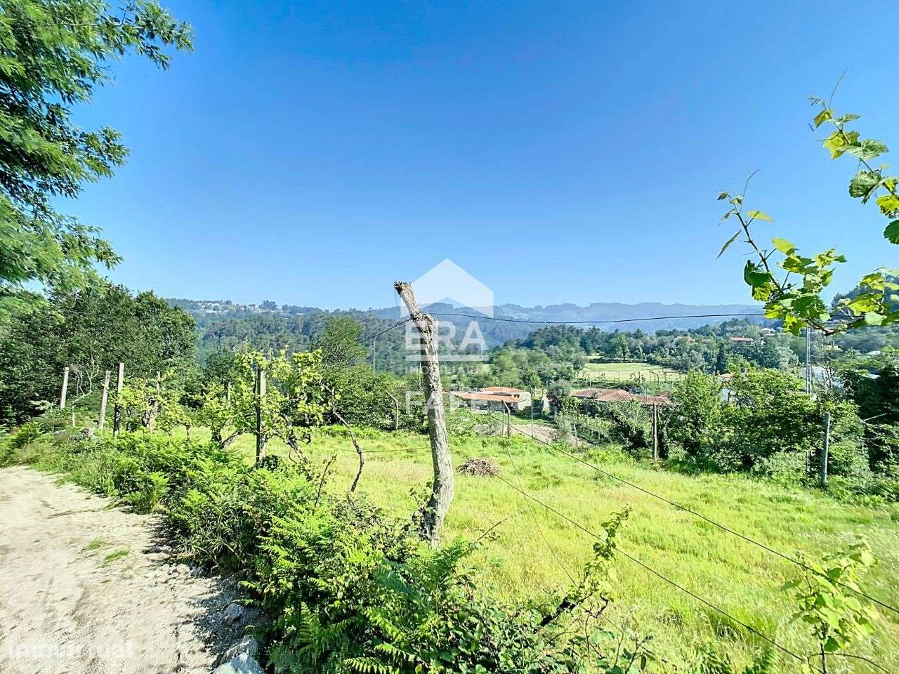 Terreno em Revelhe - Fafe - Grande imagem: 4/11