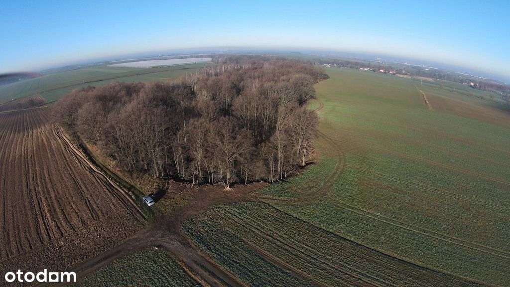 grunt | Przybyłowice - Pełny obrazek: 4/7