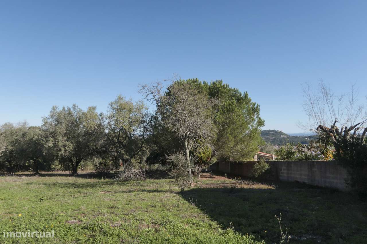 Terreno Urbano - 2 Artigos - Vale da Perra - Fátima - Ourém-8