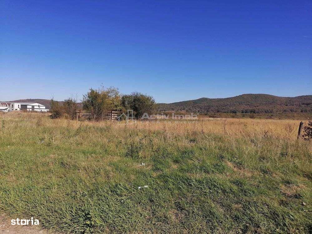 Teren intravilan  3000 mp constructii industriale - Imagine principală: 2/7