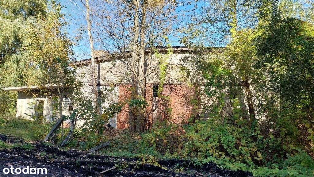 Działka z halą magazynową-0